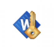 Accent WORD Password Recovery