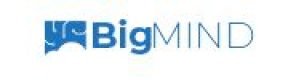 BigMind