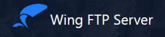 Wing FTP Server